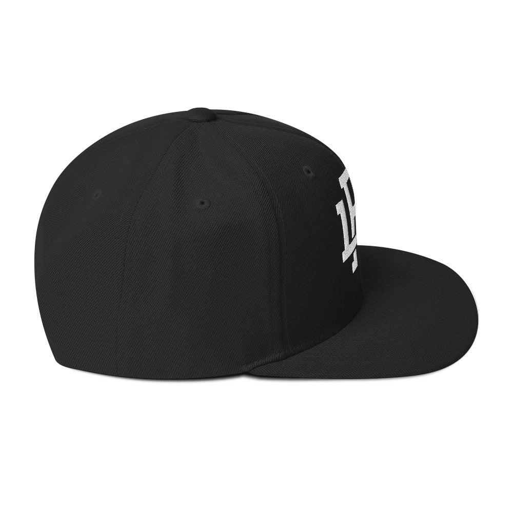 Balck/White Snapback Hat