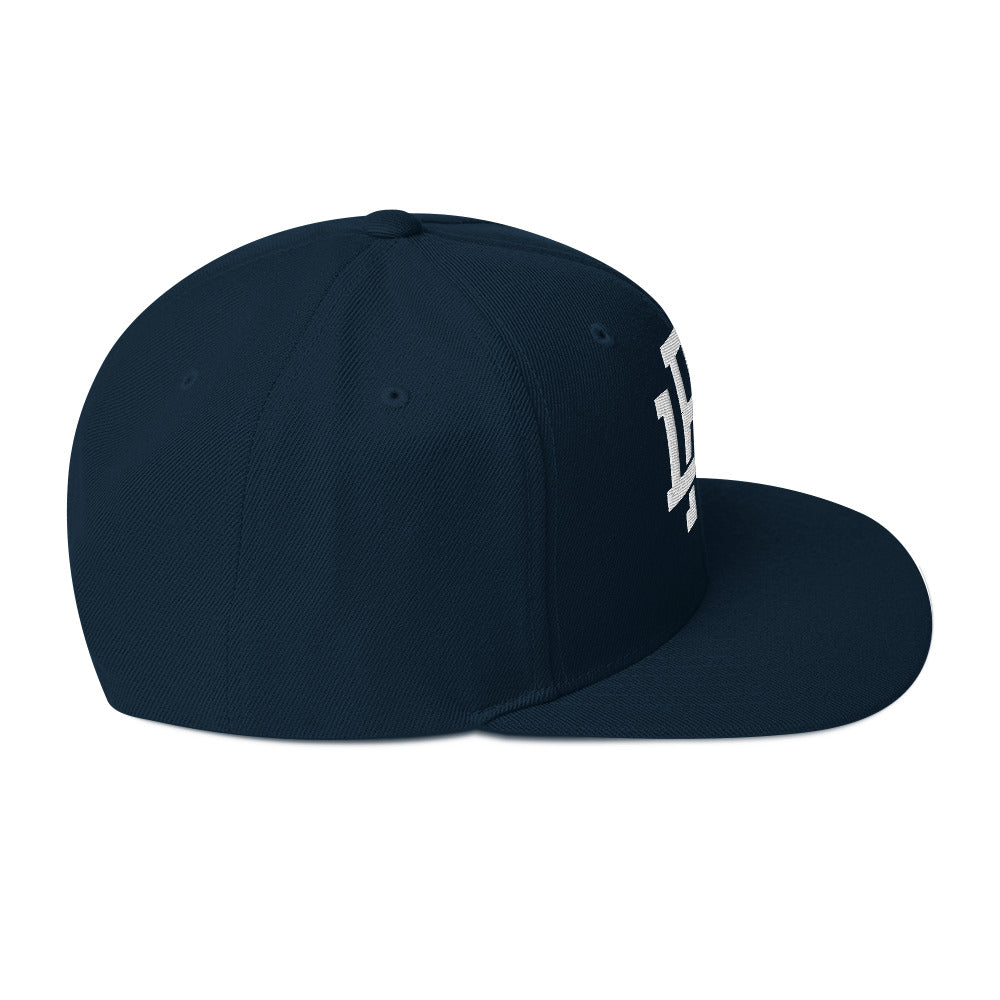 Navy/White Snapback Hat